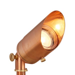 Volt®TopDog Copper Spotlight照明。