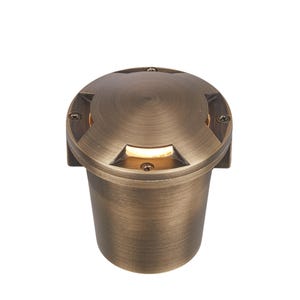 VOLT®咸狗MR11炮塔顶部黄铜在等级井灯照明。