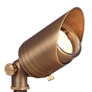 Volt®TopDog黄铜聚光灯带有可调节的眩光护罩照明。