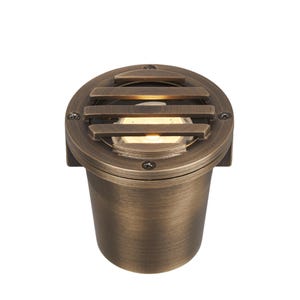 Volt®咸狗MR11磨碎的黄铜在级别的井灯照明。