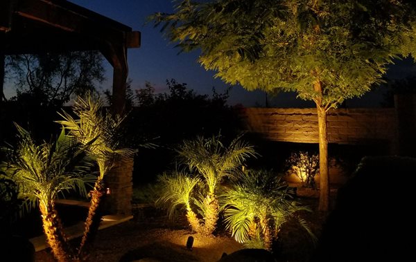 聚光灯被用来照亮后院景观